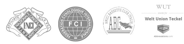 Allevamento riconosciuto ENCI - Federation Cynologique Internazionale - Amici Bassotto Club Italia - Welt Union Teckel